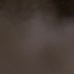 Meet your Posher, Maxie